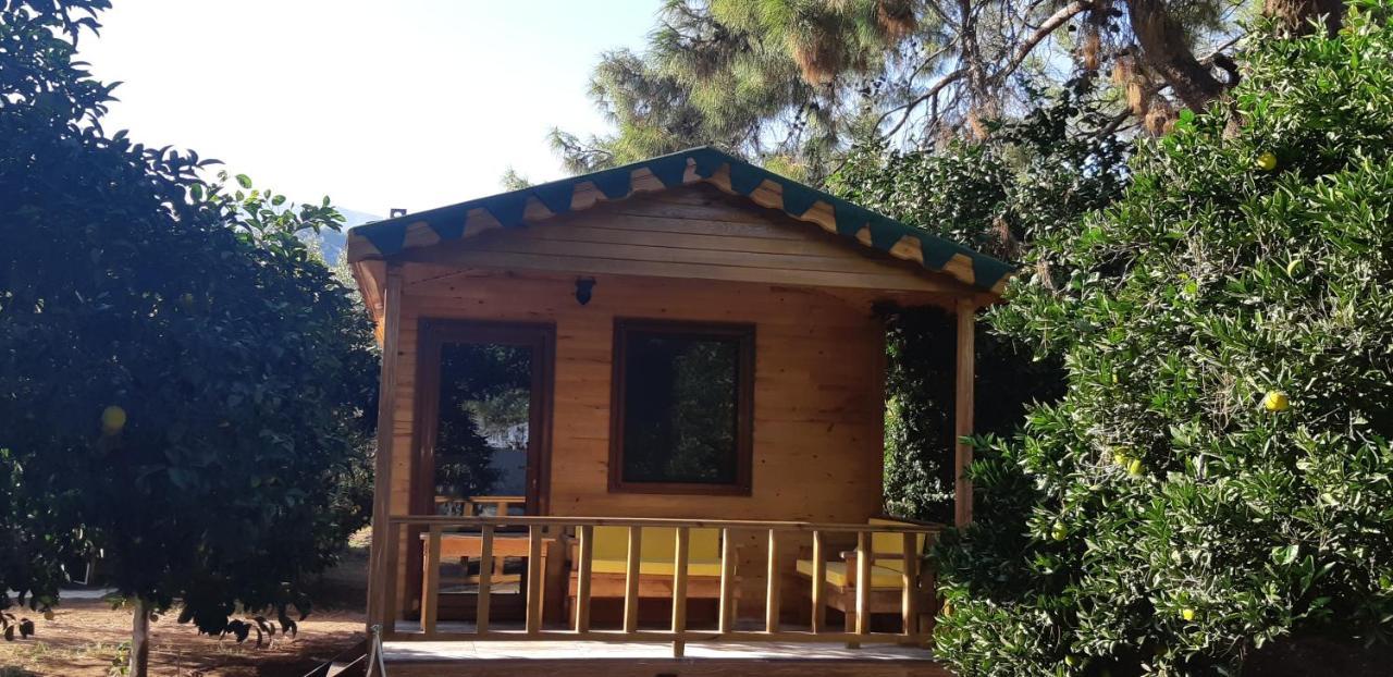 Secret Garden Hotel&Bungalows Çıralı Buitenkant foto