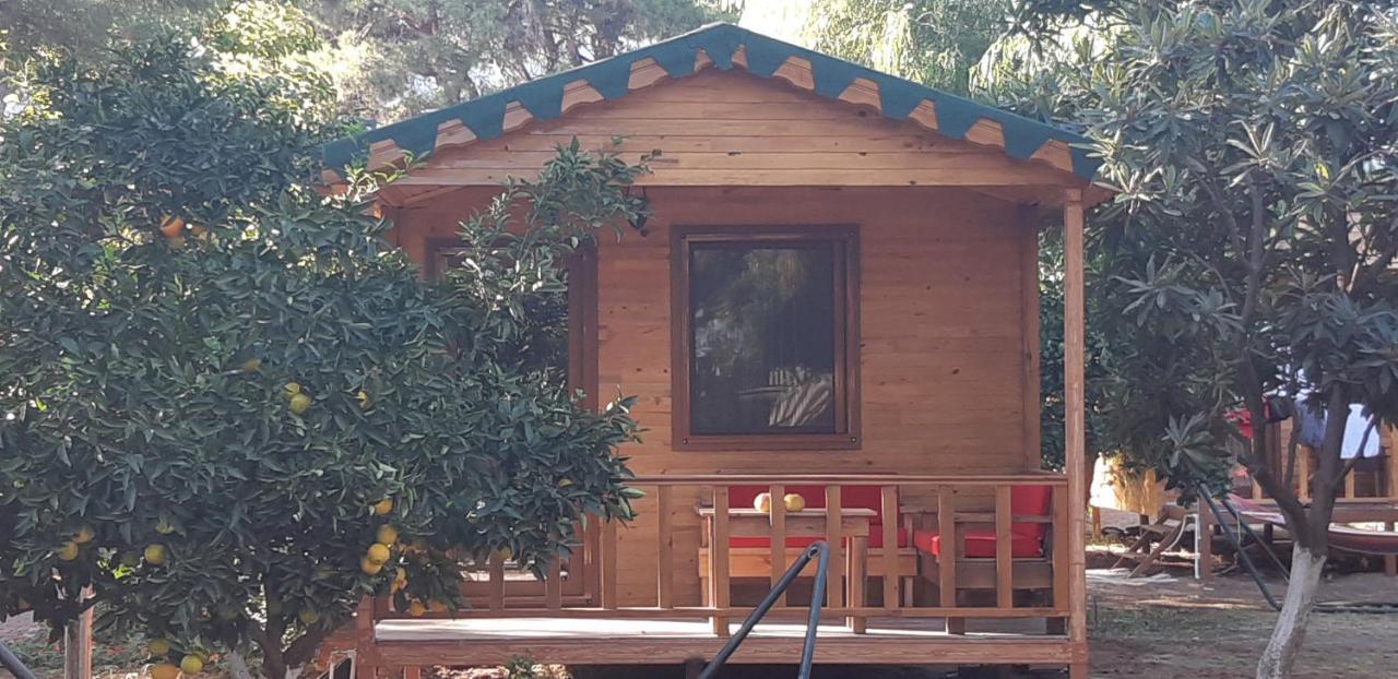 Secret Garden Hotel&Bungalows Çıralı Buitenkant foto